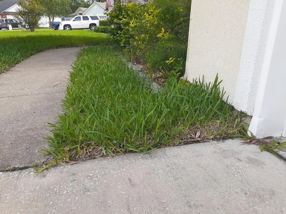 Custom lawn care service with custom design in Jacksonville, FL by His & Hers Services