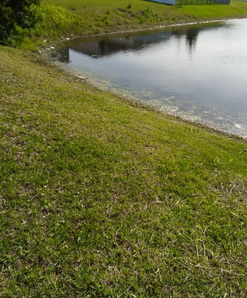 Expert garden landscaping in Jacksonville, FL by His & Hers Services