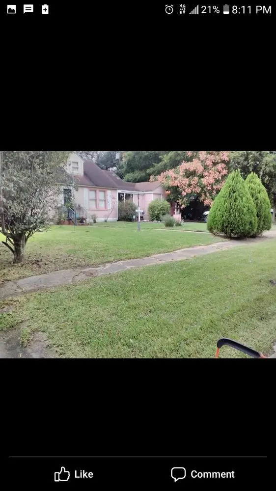 Professional landscaping services near you in Port Arthur, TX by His and her lawn and handyman services