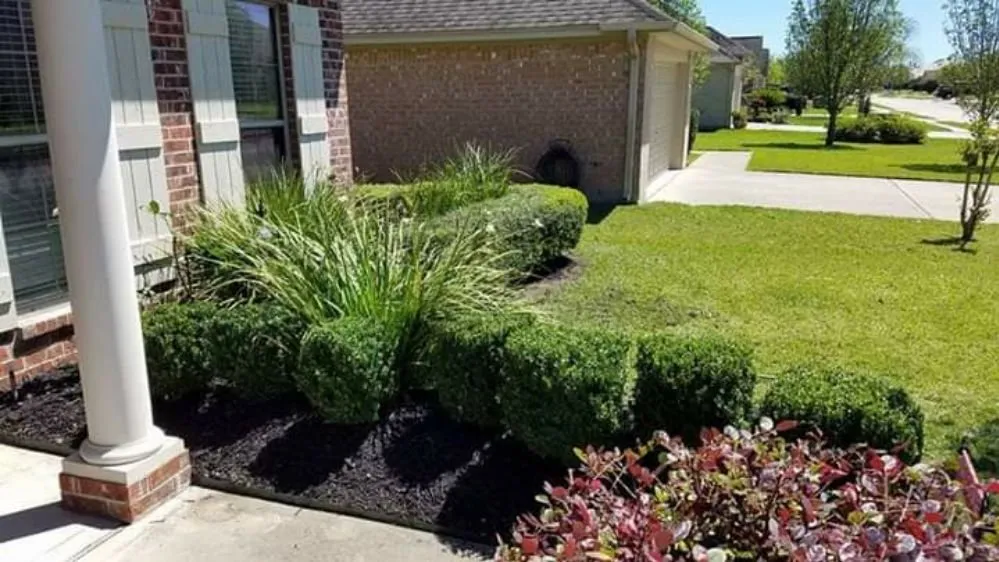 Expert landscaping services experts serving Port Arthur, TX - His and her lawn and handyman services