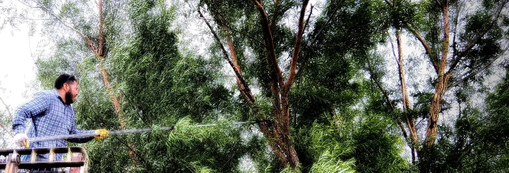 Reliable garden landscaping experts serving Amarillo, TX - His And Hers Landscape