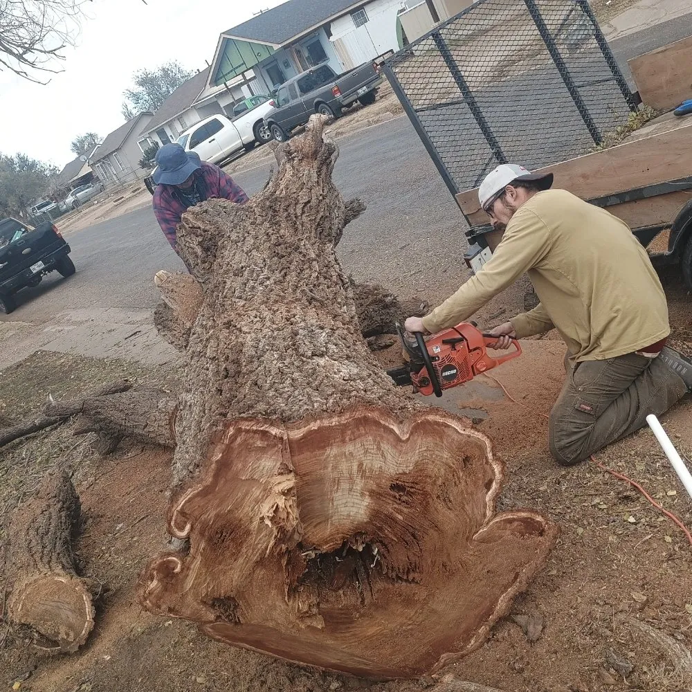 Local landscaping services experts serving Amarillo, TX - His And Hers Landscape