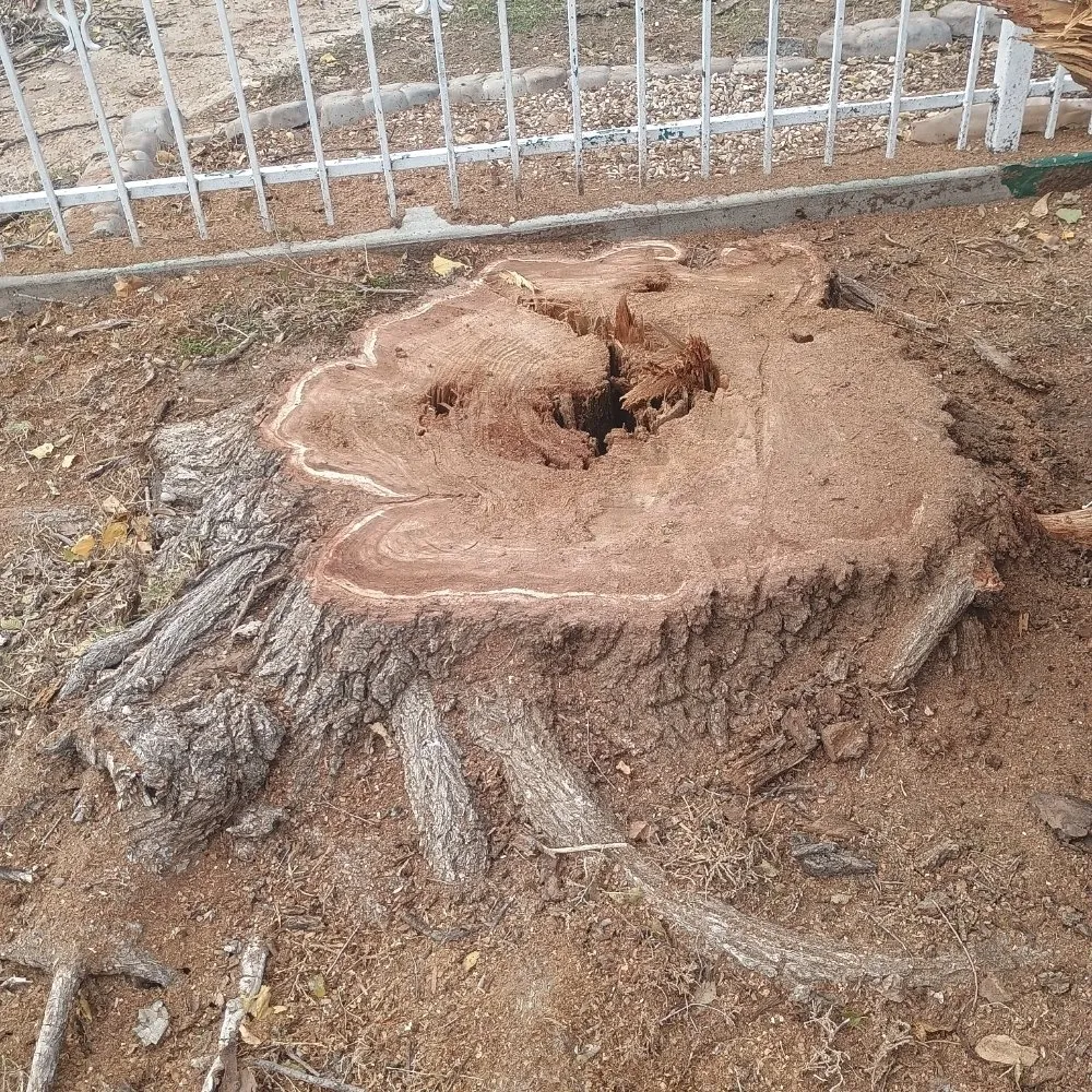 Professional landscape installation near you in Amarillo, TX by His And Hers Landscape