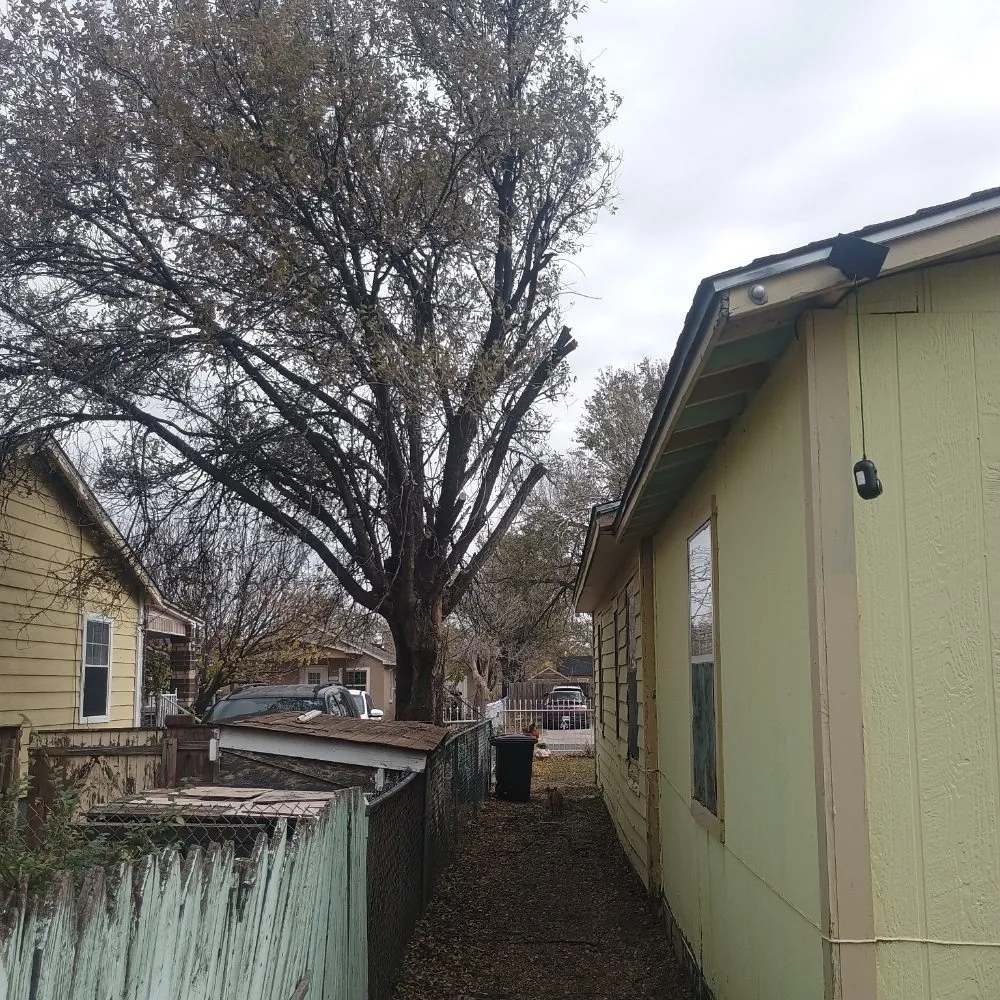 Local outdoor landscaping for year-round maintenance in Amarillo, TX by His And Hers Landscape