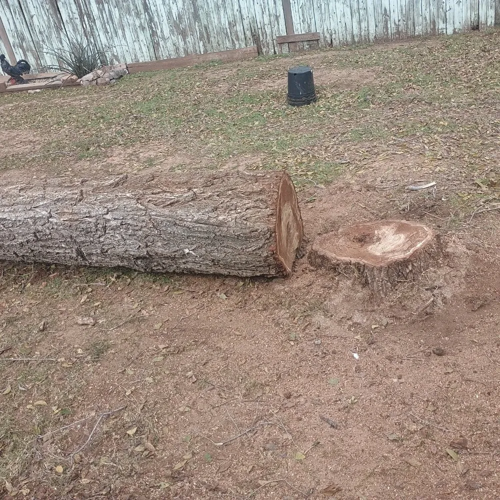 Professional landscape design with custom design across Amarillo, TX - His And Hers Landscape