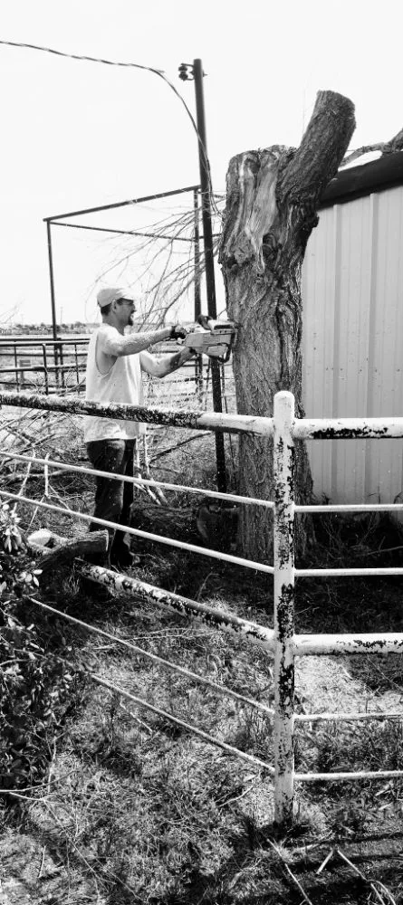 Top-rated lawn care service near you across Amarillo, TX - His And Hers Landscape