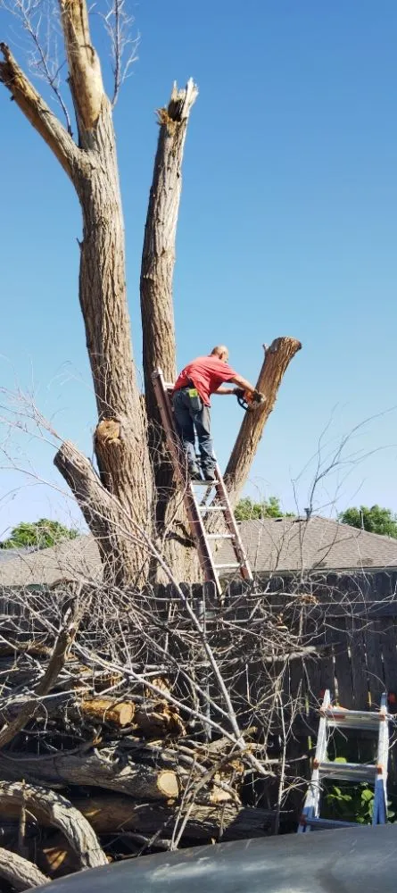 Affordable outdoor landscaping for homes in Amarillo, TX by His And Hers Landscape