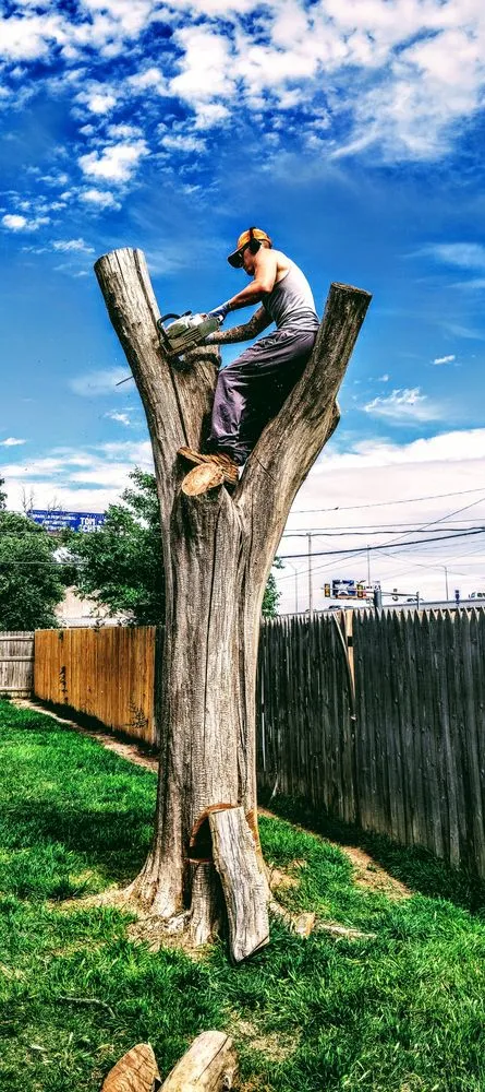 Expert garden landscaping in Amarillo, TX by His And Hers Landscape