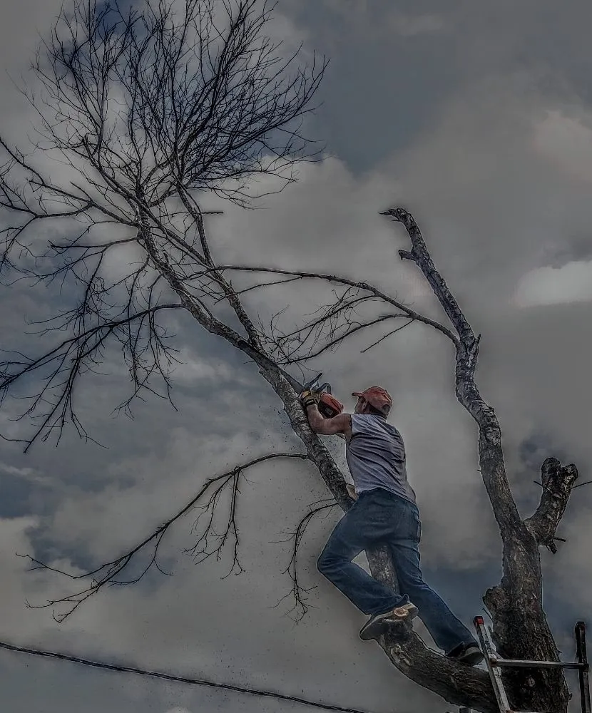 Top-rated yard maintenance for homes in Amarillo, TX by His And Hers Landscape