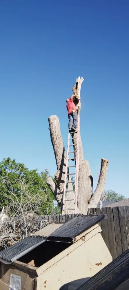 Top-rated outdoor landscaping with custom design in Amarillo, TX by His And Hers Landscape