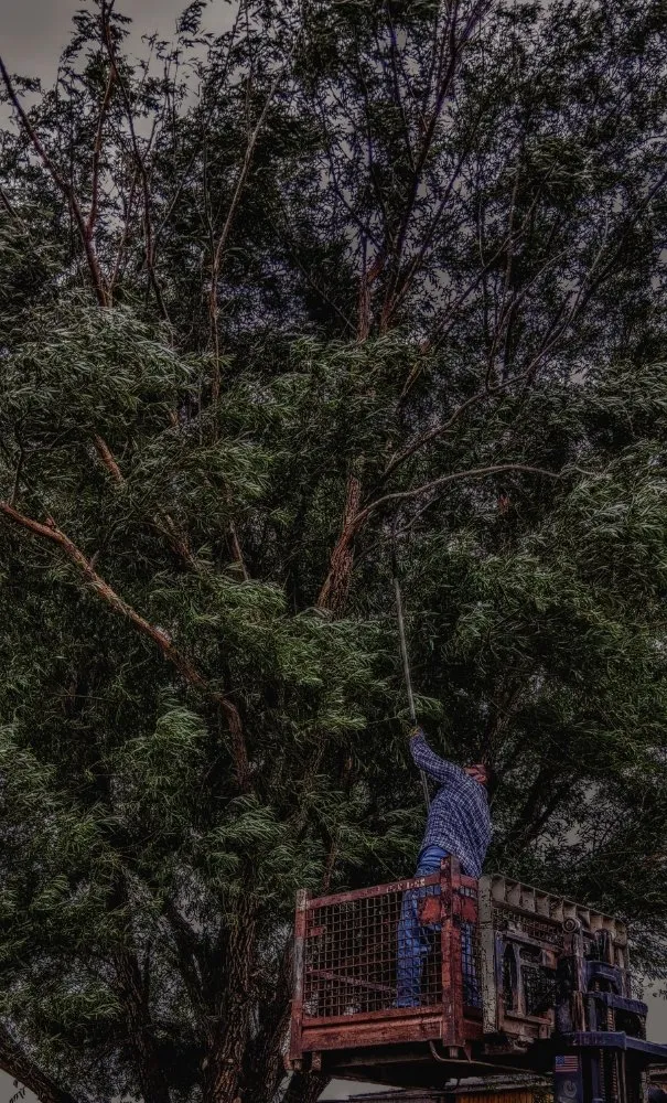 Professional landscaping services in Amarillo, TX - His And Hers Landscape