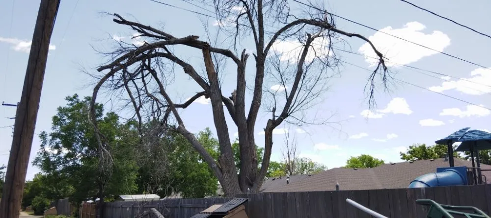 Top-rated yard cleanup service for homes in Amarillo, TX by His And Hers Landscape