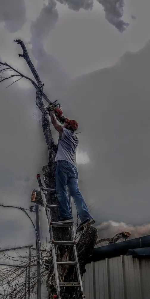 Reliable garden landscaping experts serving Amarillo, TX - His And Hers Landscape