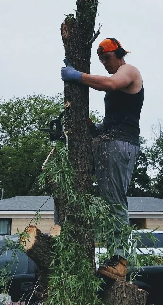 Professional residential landscaping for outdoor upgrades across Amarillo, TX - His And Hers Landscape
