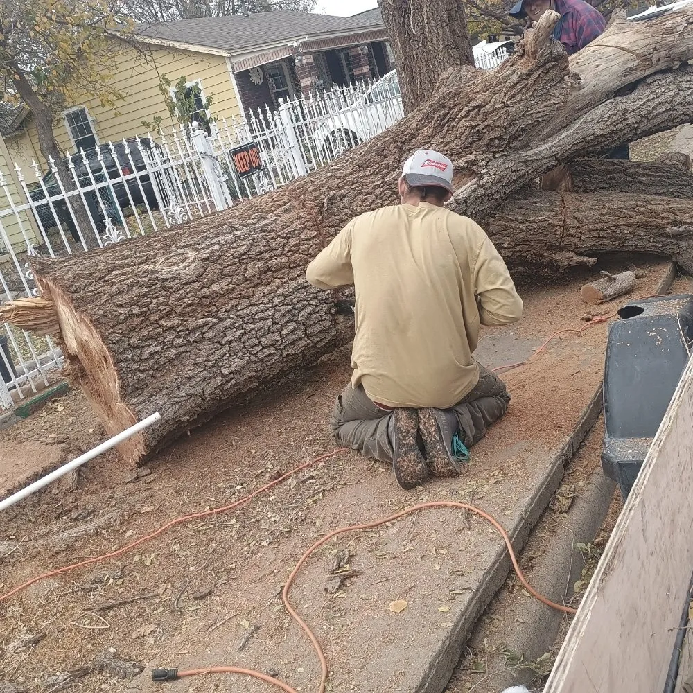 Local residential landscaping for residential properties in Amarillo, TX by His And Hers Landscape