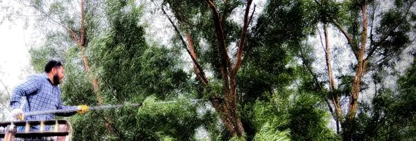 His And Hers Landscape Logo