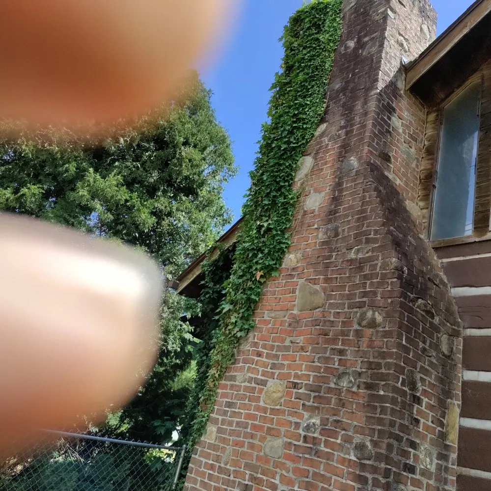 Trusted yard maintenance near you across Candler, NC - His and Hers Landscaping