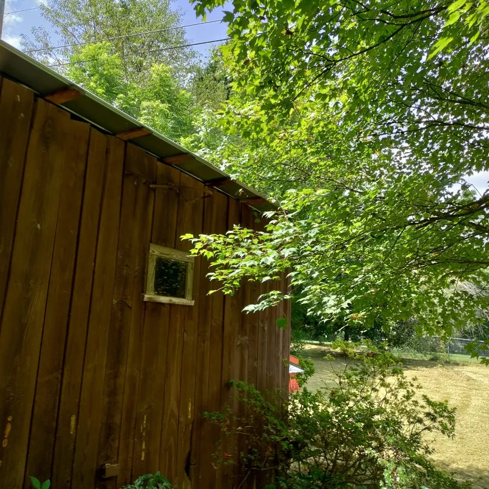 Trusted yard maintenance in Candler, NC by His and Hers Landscaping