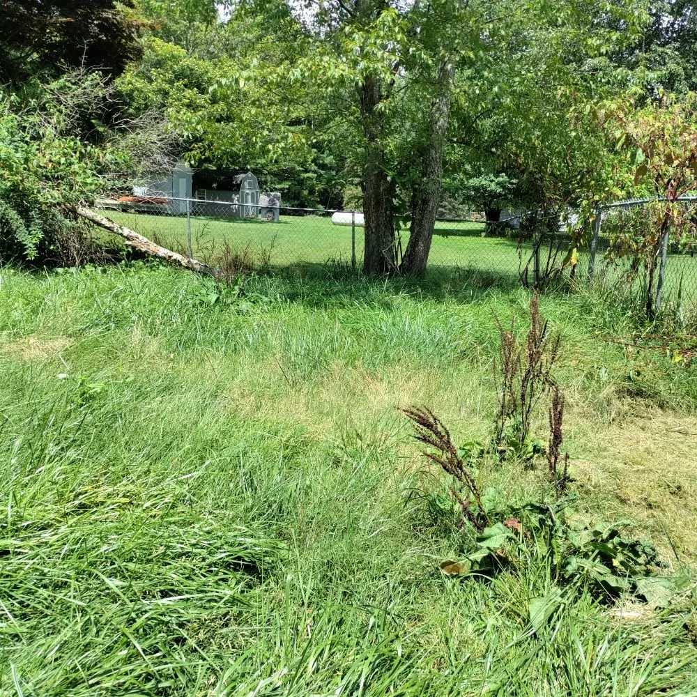 Trusted landscaping services in Candler, NC - His and Hers Landscaping