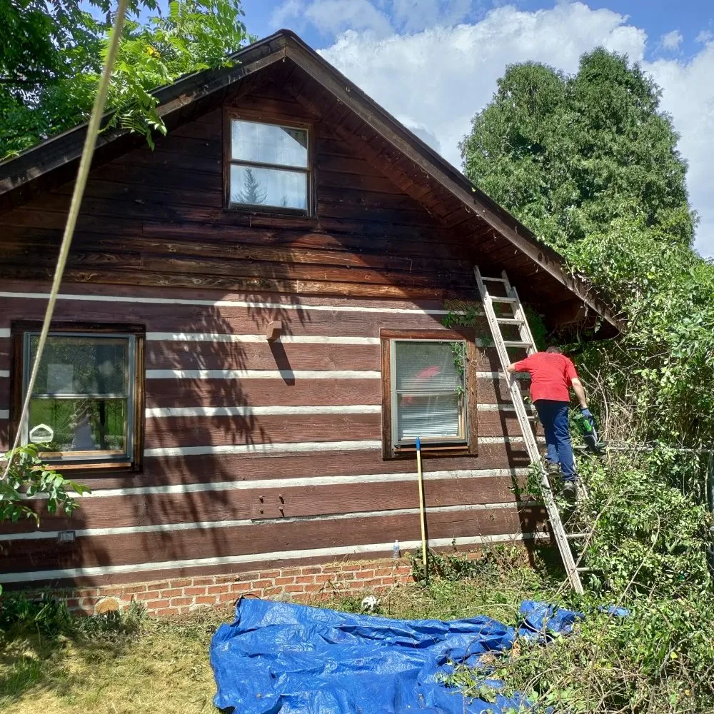 Professional yard maintenance for beautiful yards in Candler, NC by His and Hers Landscaping