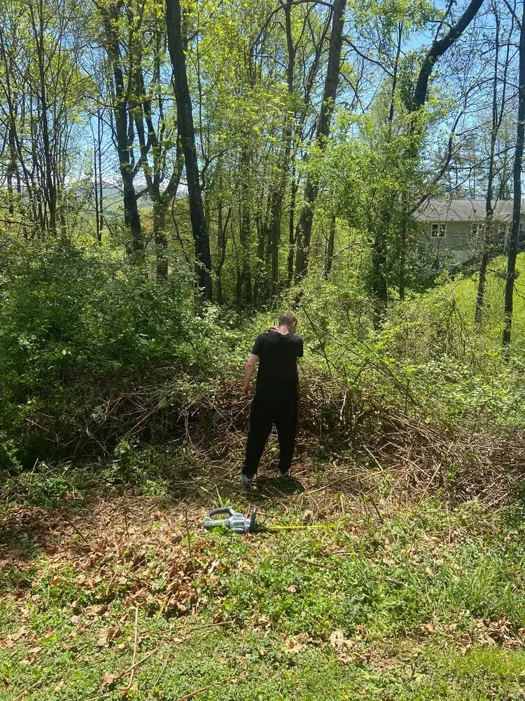 Affordable outdoor landscaping in Candler, NC - His and Hers Landscaping