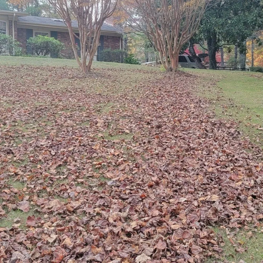 Local landscaping services for beautiful yards in Candler, NC by His and Hers Landscaping