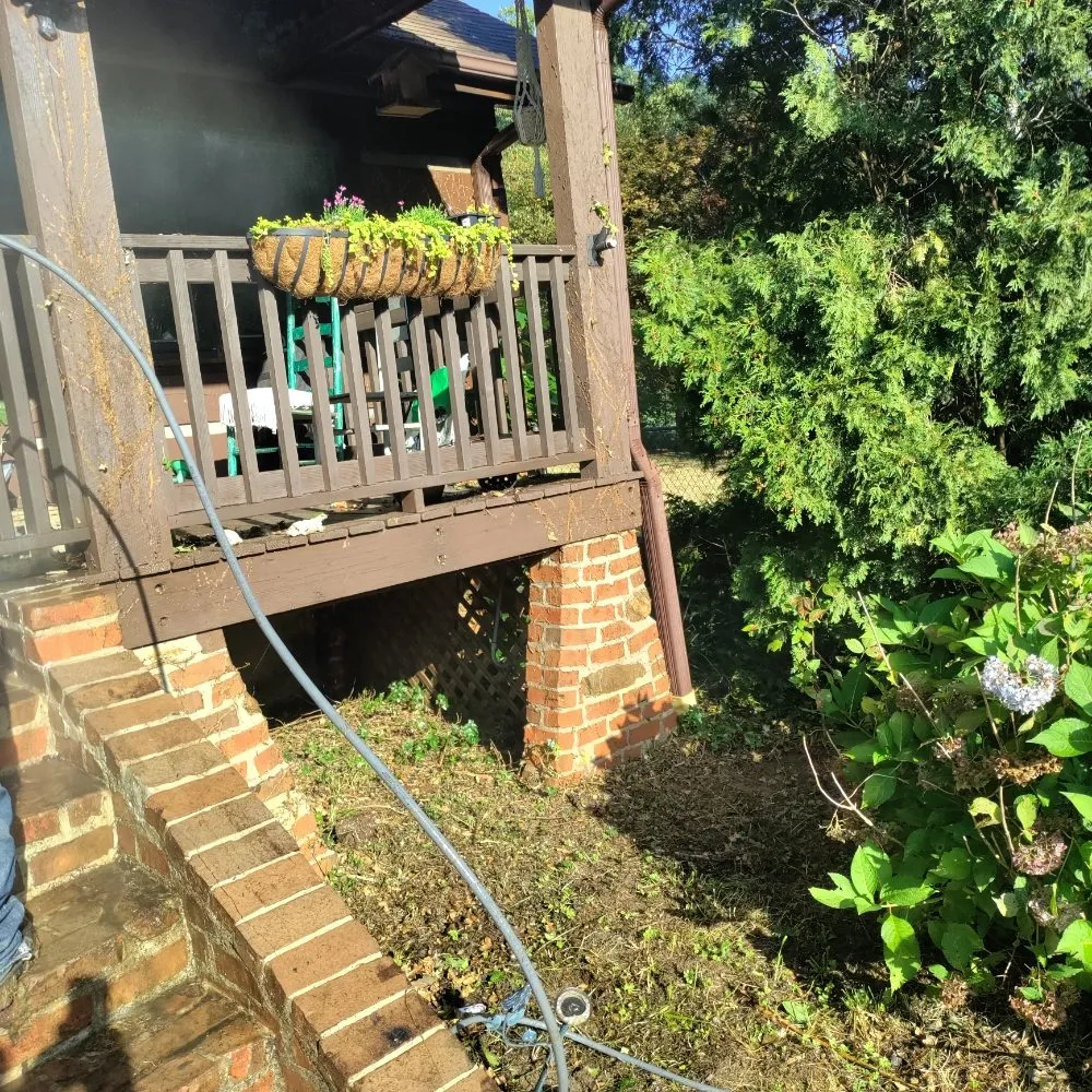 Expert yard cleanup service experts serving Candler, NC - His and Hers Landscaping