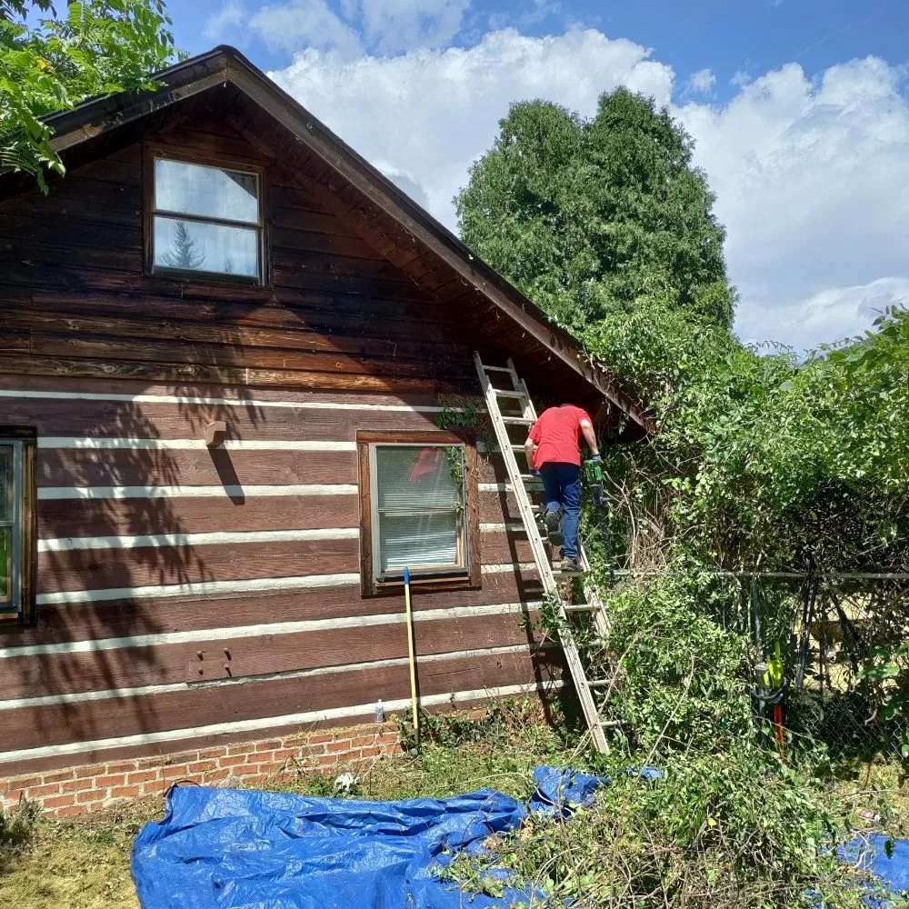 Affordable lawn mowing service experts serving Candler, NC - His and Hers Landscaping