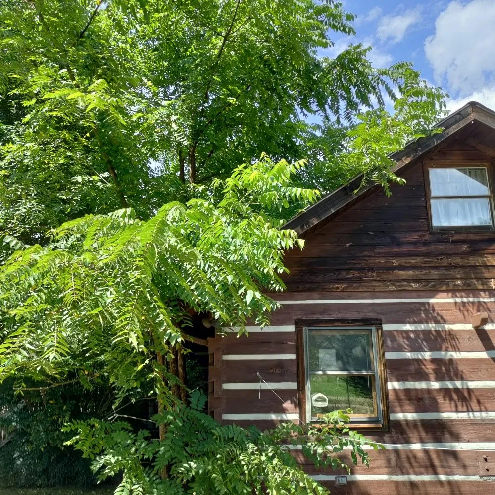 Professional lawn mowing service for homes across Candler, NC - His and Hers Landscaping