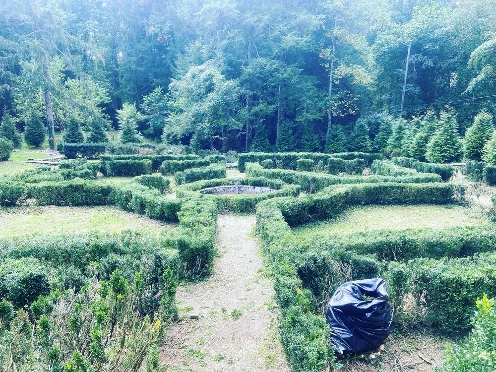 Professional lawn care service in Candler, NC - His and Hers Landscaping