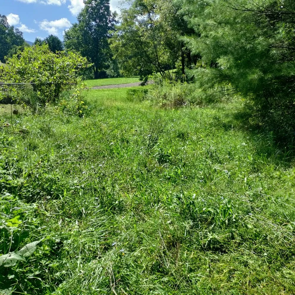 Local landscaping services experts serving Candler, NC - His and Hers Landscaping