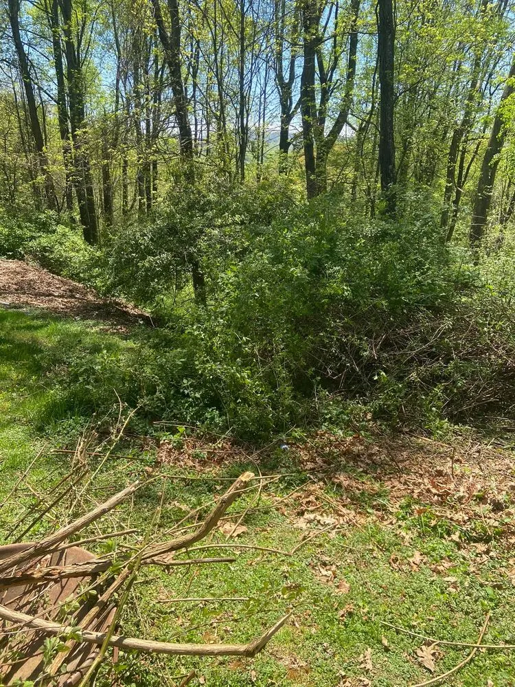 Expert landscaping services in Candler, NC by His and Hers Landscaping