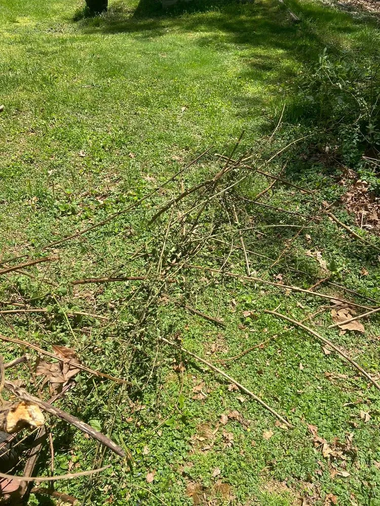 Local landscaping services near you in Candler, NC by His and Hers Landscaping