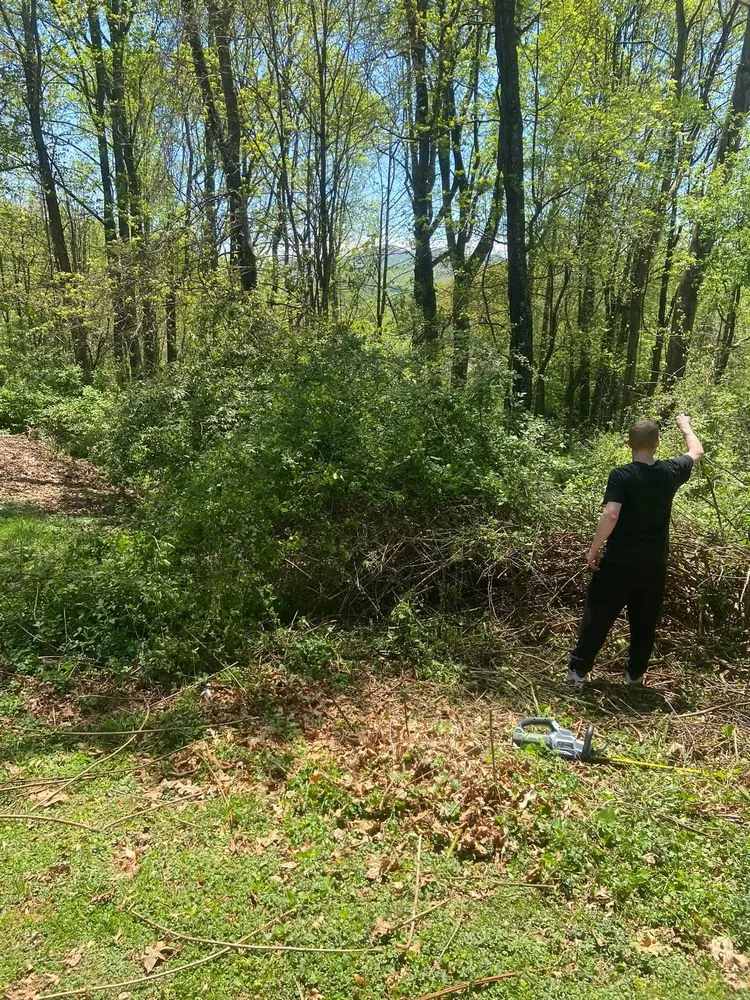 Top-rated lawn mowing service in Candler, NC by His and Hers Landscaping