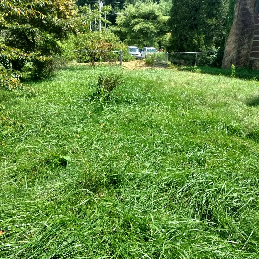 Professional outdoor landscaping in Candler, NC - His and Hers Landscaping