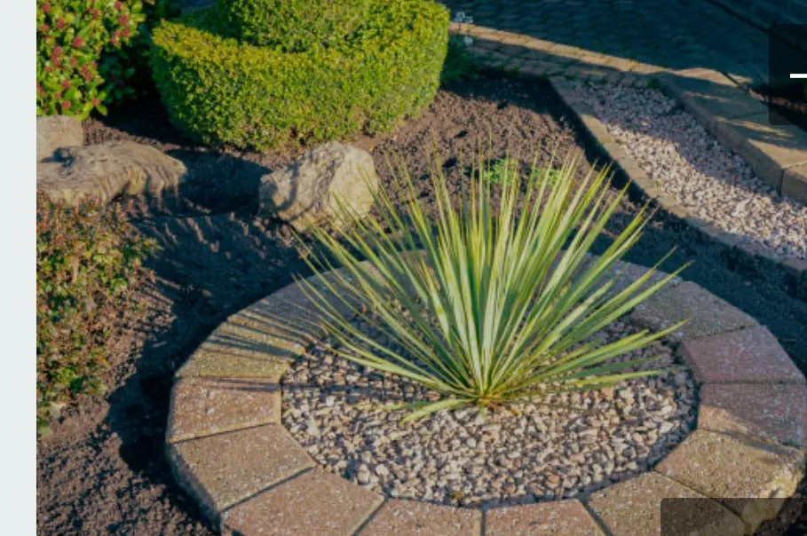 Reliable outdoor landscaping experts serving Alamogordo, NM - His And Hers Lawn Care & Tree Trimming