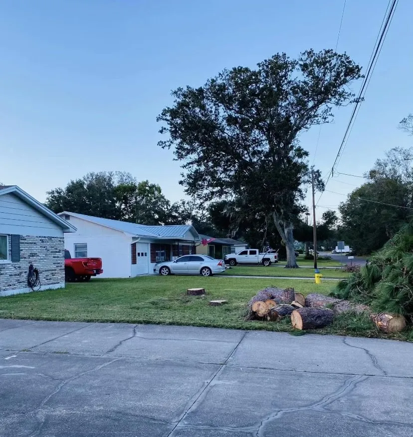 Custom landscape installation for homes in Valrico, FL by His and Hers Tree Service