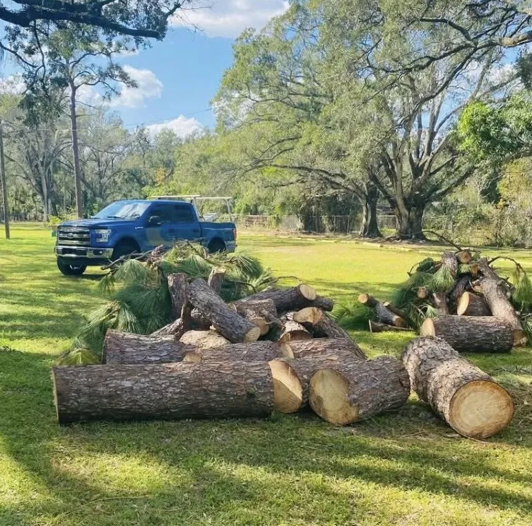 Professional lawn mowing service in Valrico, FL - His and Hers Tree Service