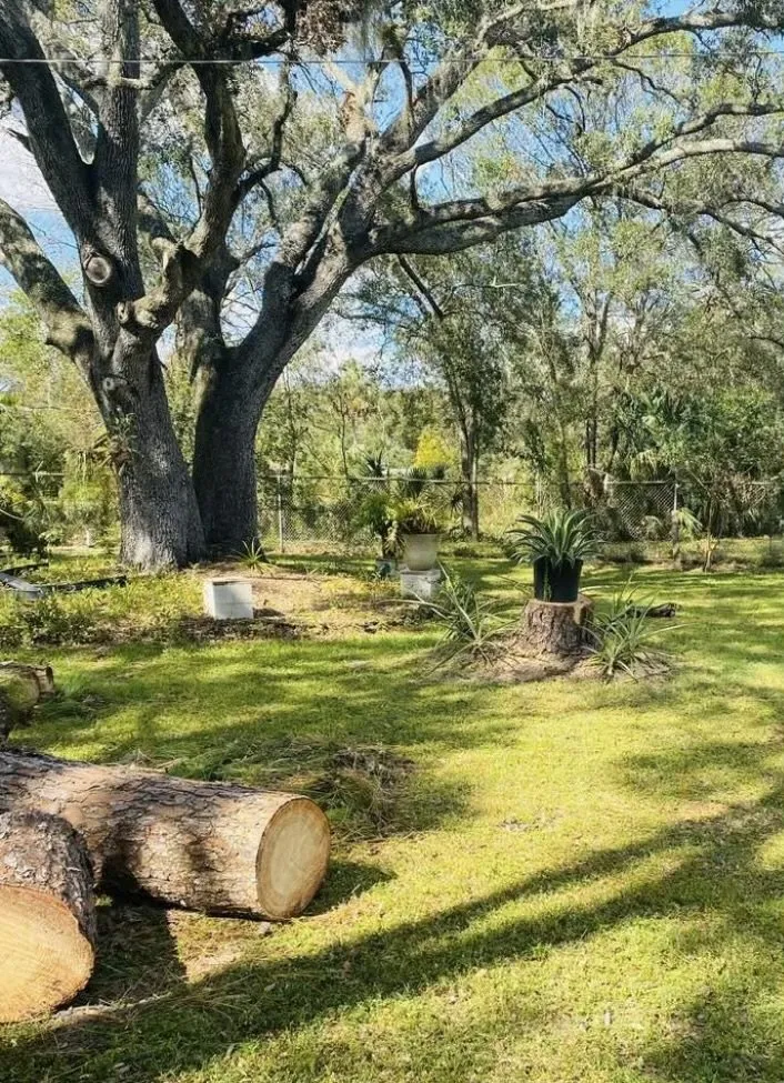 Trusted outdoor landscaping in Valrico, FL by His and Hers Tree Service