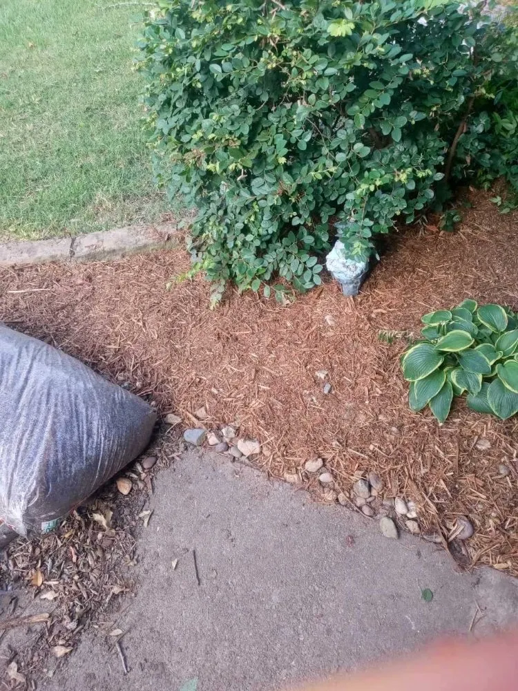 Custom landscaping services with custom design across Tyler, TX - His Handz Construction and Landscaping