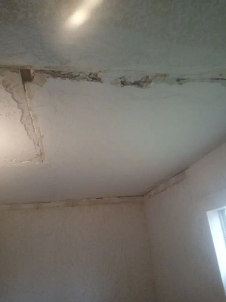 Top-rated landscaping services experts serving Tyler, TX - His Handz Construction and Landscaping