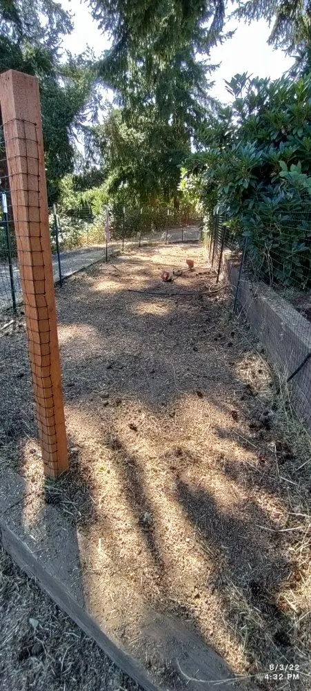 Top-rated lawn care service in Lebanon, OR - His Holy Gardens Landscaping