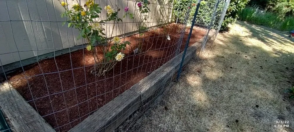 Reliable residential landscaping for outdoor upgrades across Lebanon, OR - His Holy Gardens Landscaping