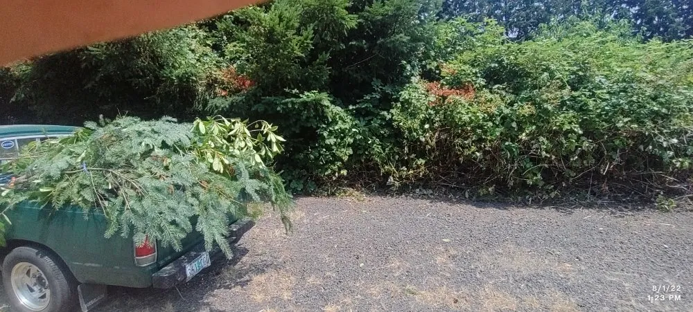 Expert yard maintenance with custom design in Lebanon, OR by His Holy Gardens Landscaping