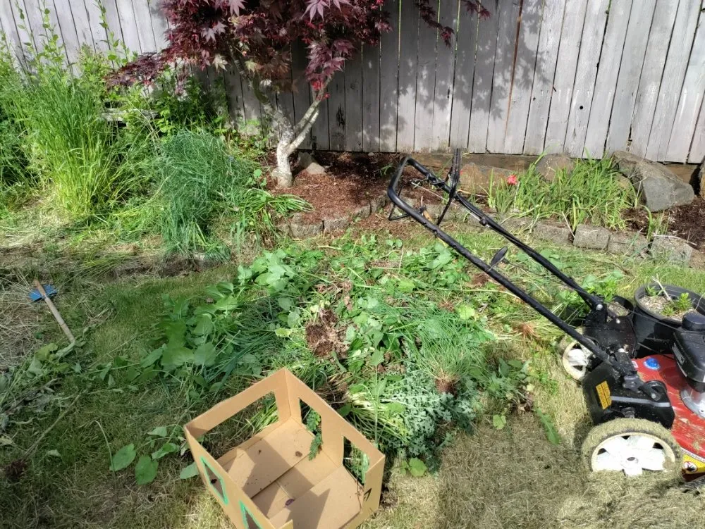 Custom landscaping services with custom design in Lebanon, OR by His Holy Gardens Landscaping