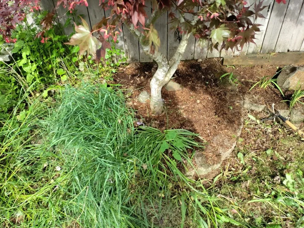 Professional residential landscaping in Lebanon, OR by His Holy Gardens Landscaping