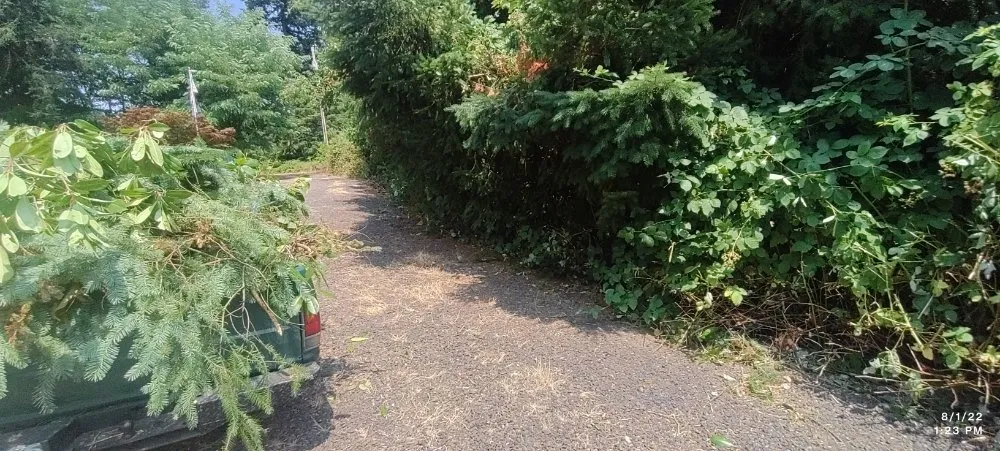 Top-rated lawn care service for residential properties in Lebanon, OR by His Holy Gardens Landscaping