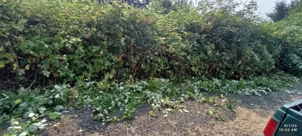 Professional garden landscaping for beautiful yards in Lebanon, OR by His Holy Gardens Landscaping