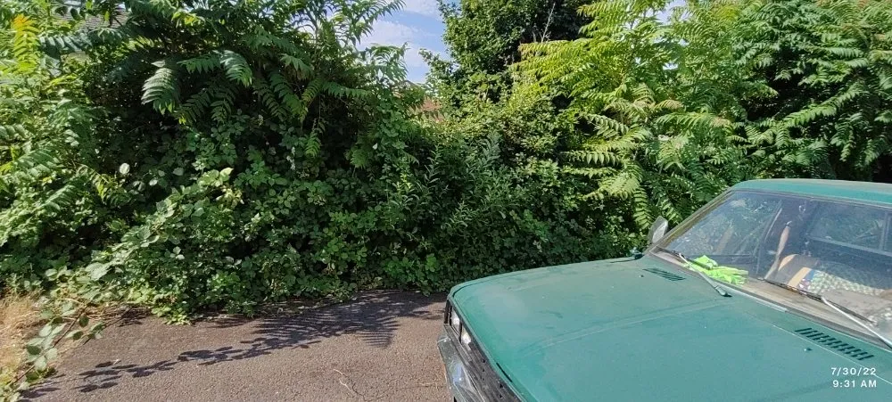 Trusted lawn care service experts serving Lebanon, OR - His Holy Gardens Landscaping