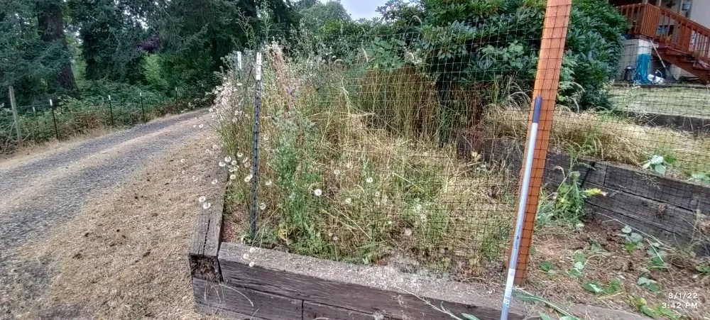 Professional landscape installation in Lebanon, OR - His Holy Gardens Landscaping